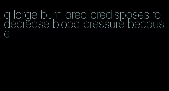 a large burn area predisposes to decrease blood pressure because