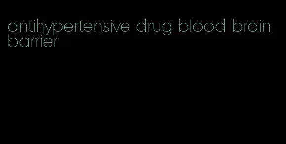 antihypertensive drug blood brain barrier