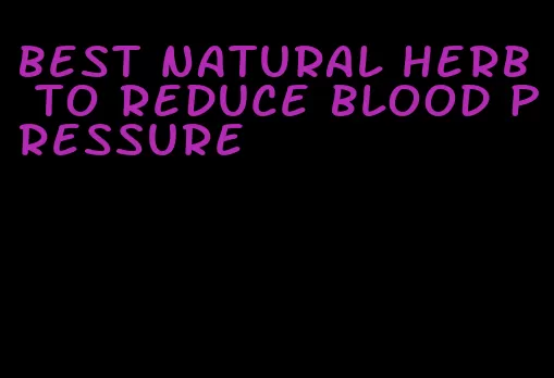 best natural herb to reduce blood pressure