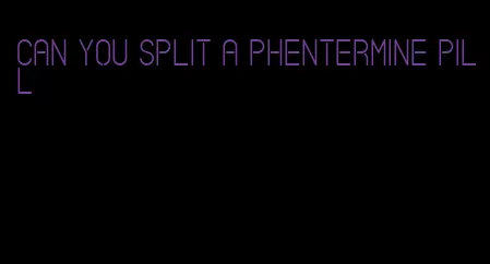 can you split a phentermine pill
