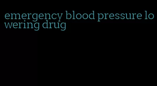 emergency blood pressure lowering drug