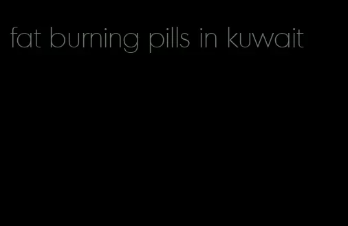 fat burning pills in kuwait