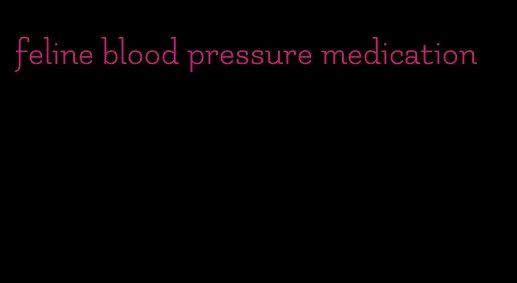 feline blood pressure medication