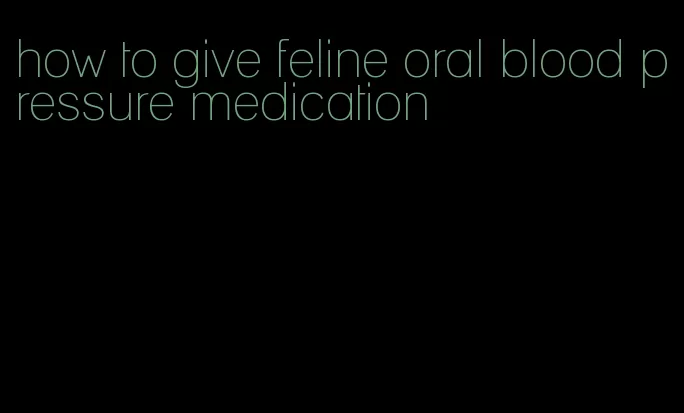 how to give feline oral blood pressure medication