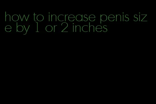 how to increase penis size by 1 or 2 inches
