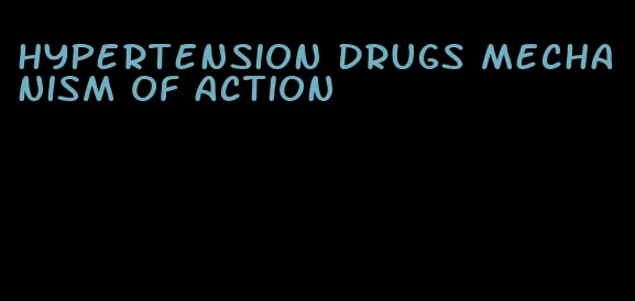 hypertension drugs mechanism of action