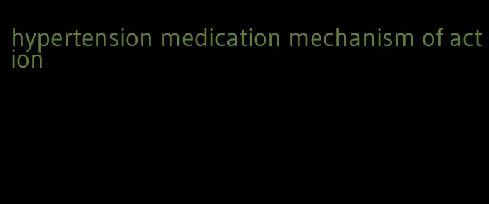 hypertension medication mechanism of action