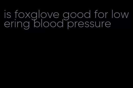 is foxglove good for lowering blood pressure