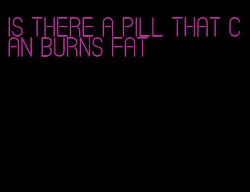 is there a pill that can burns fat