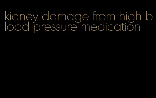 kidney damage from high blood pressure medication