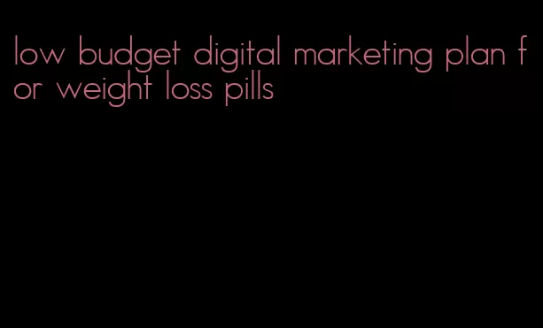 low budget digital marketing plan for weight loss pills