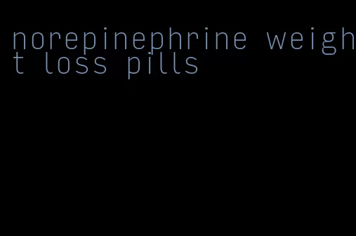 norepinephrine weight loss pills