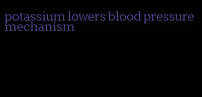 potassium lowers blood pressure mechanism