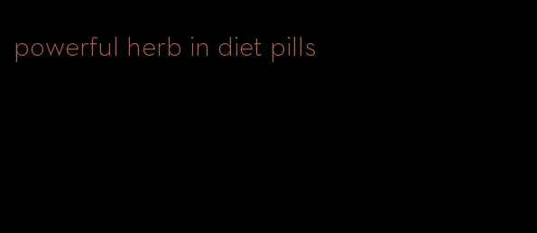 powerful herb in diet pills