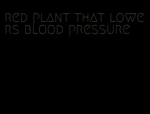 red plant that lowers blood pressure