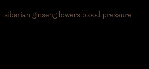 siberian ginseng lowers blood pressure