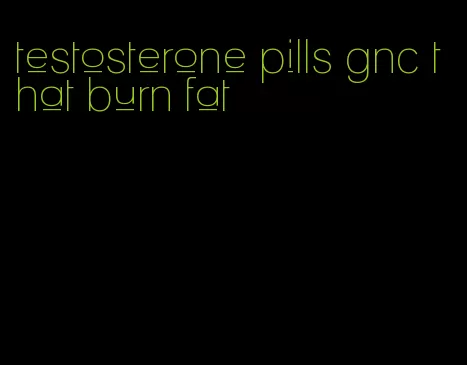 testosterone pills gnc that burn fat