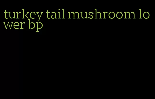 turkey tail mushroom lower bp
