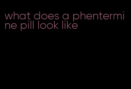 what does a phentermine pill look like