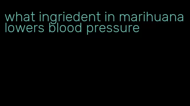 what ingriedent in marihuana lowers blood pressure