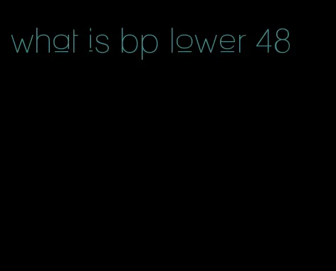 what is bp lower 48