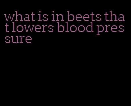 what is in beets that lowers blood pressure
