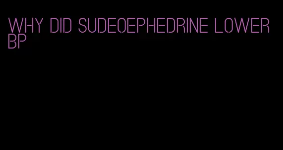 why did sudeoephedrine lower bp